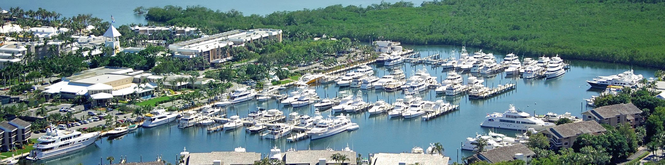 Ocean Reef