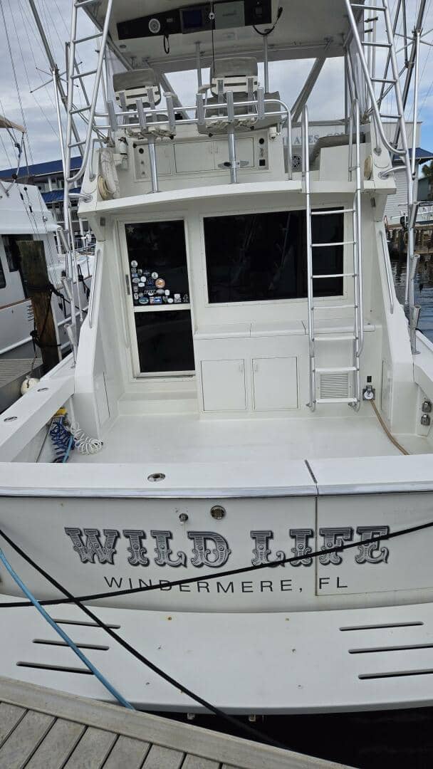 1989 Viking 45 Convertible "Wild Life" photo 9