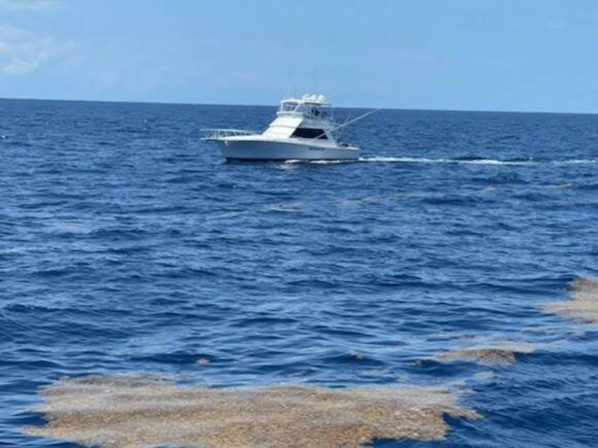 1989 Viking 45 Convertible "Wild Life" photo 35