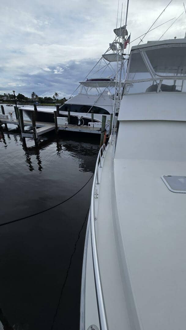 1989 Viking 45 Convertible "Wild Life" photo 15