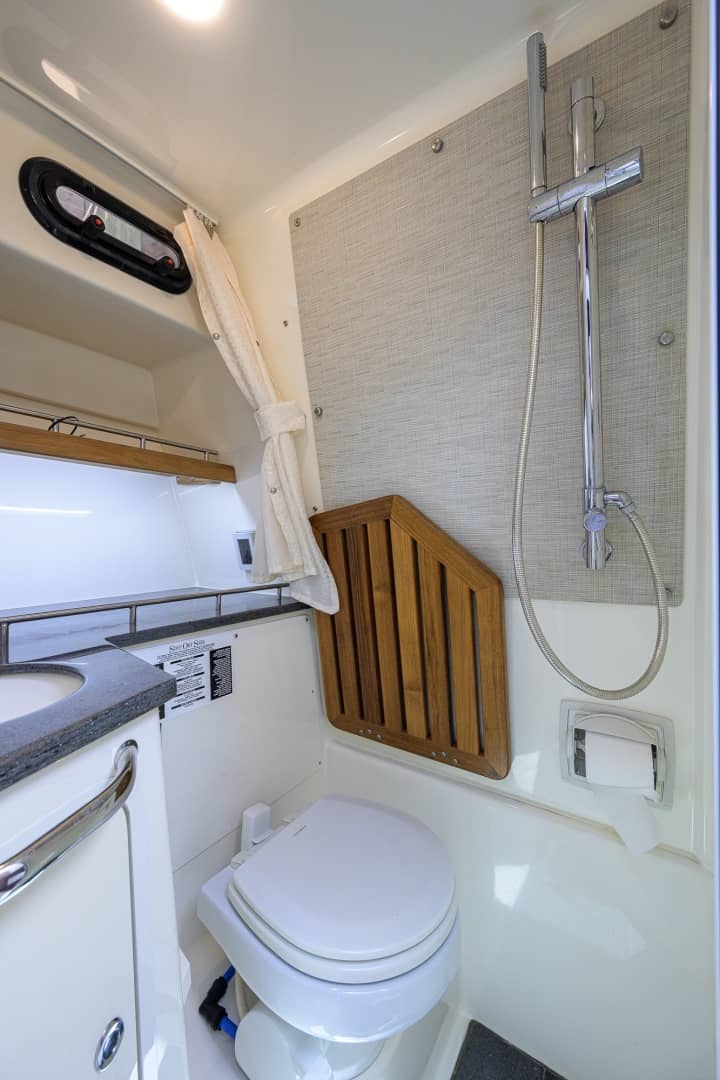 2020 Boston Whaler 350 Realm "DERRYN" photo 31