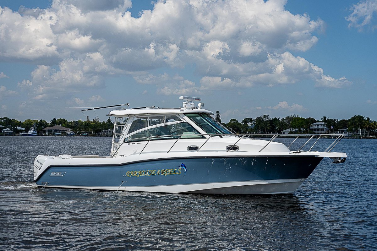 Paradise 4 Reels