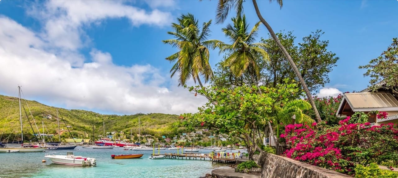 Panoramic view of Bequia harbor in the Grenadines with sailboats, a hillside village, and vibrant tropical vegetation
