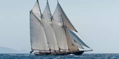 ATLANTIC photo 2