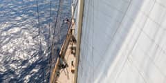 ATLANTIC photo 5