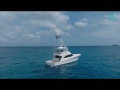 Viking 58 Convertible