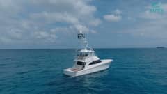 Viking 58 Convertible