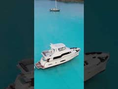 South Paws in the Bahamas