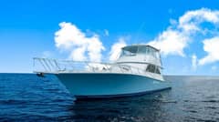 1999 Viking 55 Convertible photo 5