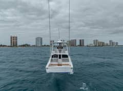 2026 Viking 46 Billfish "2026 Viking 46 BF" photo 5