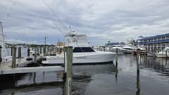 1989 Viking 45 Convertible "Wild Life" photo 4