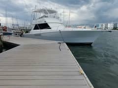 1989 Viking 45 Convertible "Wild Life" photo 2