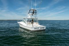 2018 Albemarle 41 Express "Salt Lick" photo 5