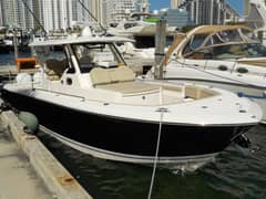 2019 Pursuit S 368 "LGB" photo 1