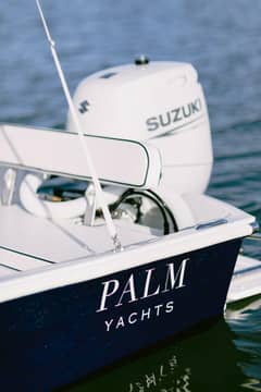 2026 Custom Palm Yachts 17 photo 7