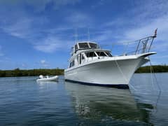 1999 Navigator 5300 "ODYSSEY" photo 1