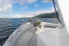 2018 Little Hoquiam Downeast "HERRING IMPAIRED" photo 4