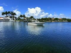 2023 Grady-White Freedom 307 "Sea Sweet II" photo 4