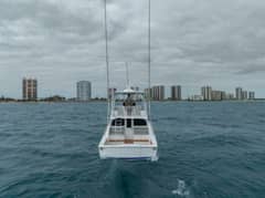 2027 Viking 46 Billfish "2027 Viking 46 BF" photo 5