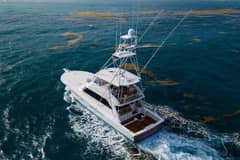 2001 Viking Convertible "Deal Maker" photo 4