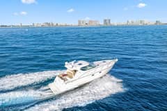 2008 Tiara Yachts 4300 Sovran photo 3