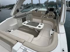 2018 Chaparral 330 Signature "The Remedy" photo 3