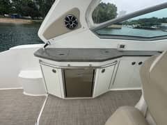 2018 Chaparral 330 Signature "The Remedy" photo 7