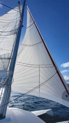 2021 Neel 43 photo 7