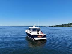 2007 Sabre 38 Express "Talivia III" photo 5