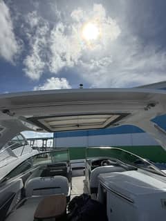 2022 Regal 33OBX "All Paws Aboard" photo 9