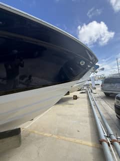 2022 Regal 33OBX "All Paws Aboard" photo 4