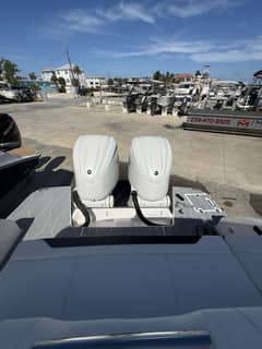2022 Regal 33OBX "All Paws Aboard" photo 5