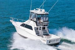 2007 Cabo 35 Flybridge "Catch This" photo 5