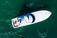 2012 Viking photo 7