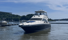 2005 Sea Ray 550 SEDAN BRIDGE photo 3