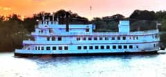 1985 Custom Dinner/Excursion/Passenger photo 4