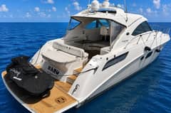 2010 Sea Ray Sundancer 540 "NARU" photo 4