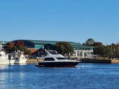 2022 Carver 450 Voyager Pilothouse "SYNERGY" photo 8