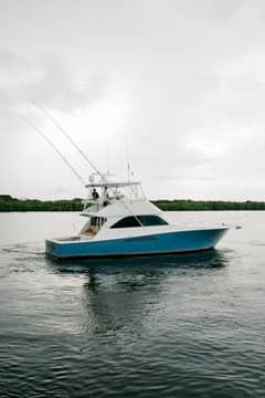 2003 Viking photo 2