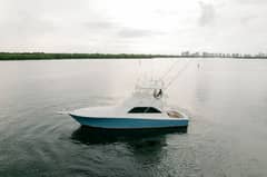 2003 Viking photo 8