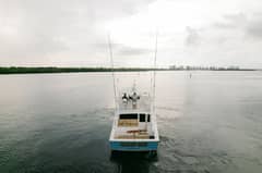 2003 Viking photo 4