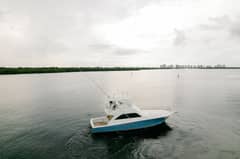 2003 Viking photo 5