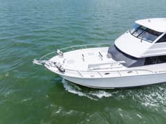 2008 Maritimo 52 photo 8