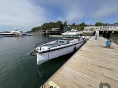 2024 Axopar 37XC Cross Cabin "Clapboard Runner" photo 7