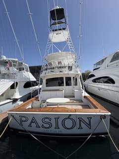 2004 Viking "Pasion" photo 2