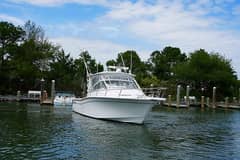 2006 Grady-White Express 330 "Storm Bait" photo 1