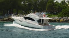 2010 Bertram 540 "MANEGOR" photo 8
