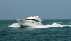 2010 Bertram 540 "MANEGOR" photo 4