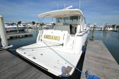 2004 Tiara Yachts 4400 Sovran "Andiamo" photo 7