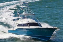 1993 Buddy Davis 61 Convertible "Nauti Norwegian" photo 7